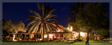Sant Blai at night, a tall palm lit from below and the low finca glowing warm behind it