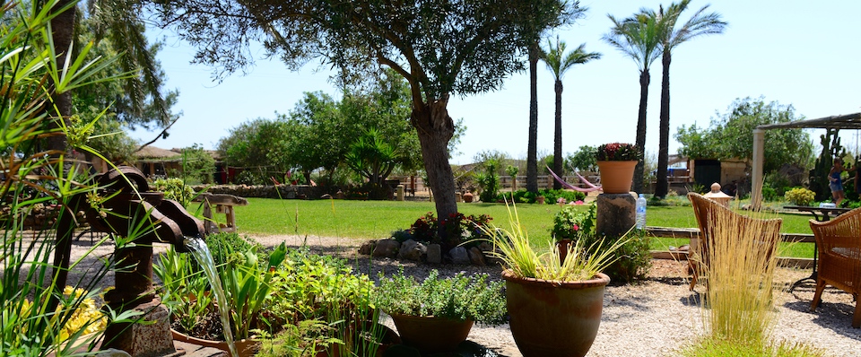 The Sant Blai garden: an old olive tree, palms and a stone water channel, wicker chairs in the shade