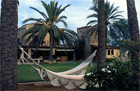 A hammock strung between two palms at Sant Blai, the low finca and lawn behind it